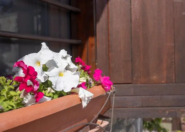 Stone House Dimitra Tatil Evi