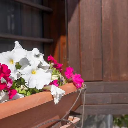 Stone House Dimitra Tatil Evi